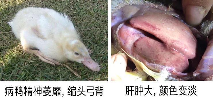 1590981937136488.jpg 微信图片_20200601112331.jpg