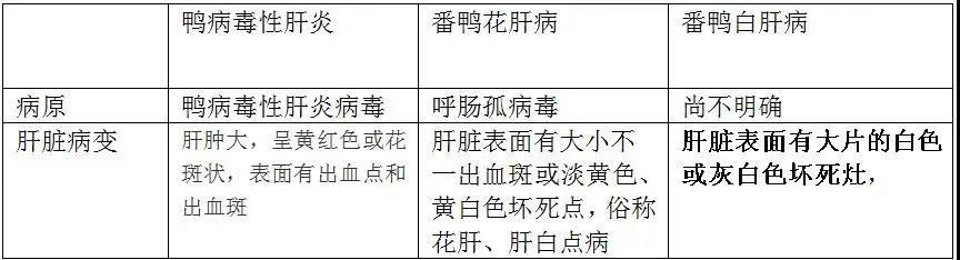 1590981942747203.jpg 微信图片_20200601112334.jpg
