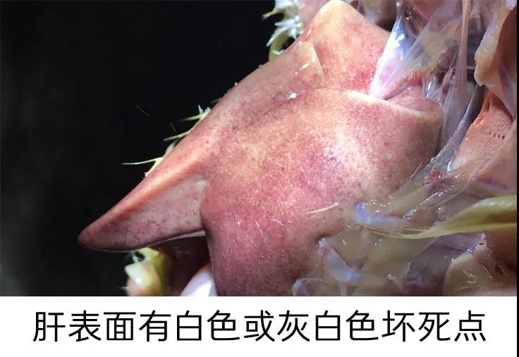 1590981947123871.jpg 微信图片_20200601112336.jpg