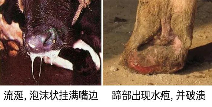 1590982077806931.jpg 微信图片_20200601112557.jpg