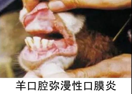 1590982081371708.jpg 微信图片_20200601112601.jpg