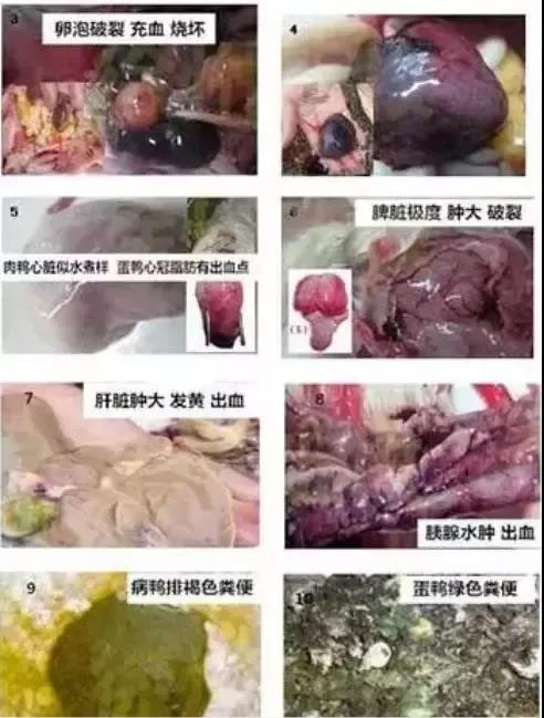1590982575130463.jpg 微信图片_20200601113421.jpg