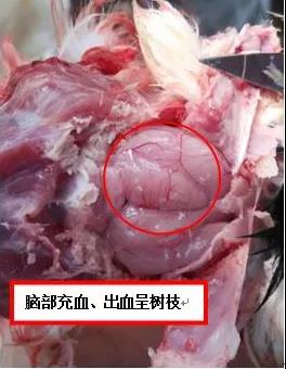 微信图片_20200613090415.jpg