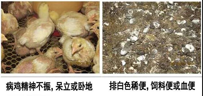 微信图片_20200615084340.jpg