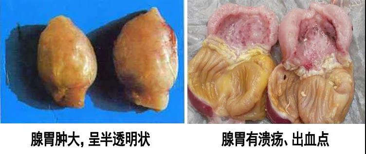 微信图片_20200615084344.jpg