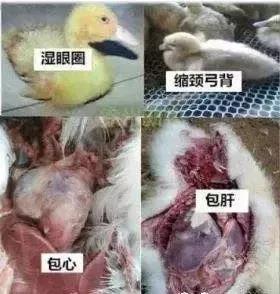 微信图片_20200620160248.jpg